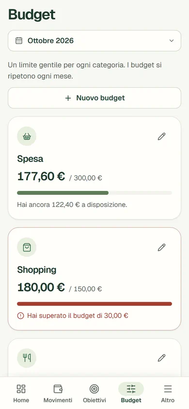 I budget per categoria della demo, con la parte già spesa e quella ancora disponibile. Dati di esempio.